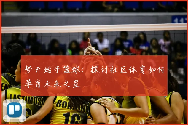 梦开始于篮球：探讨社区体育如何孕育未来之星